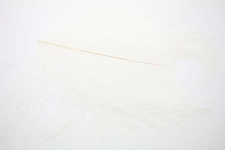 You added <b><u>XL Ostrich Herl - White</u></b> to basket.