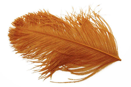 You added <b><u>Xl Ostrich Herl - Brown</u></b> to basket.
