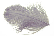 Struds  Herl - Dun