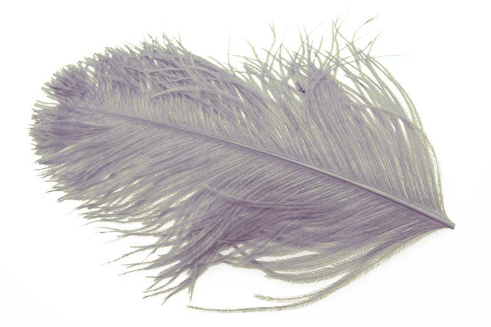 Struds  Herl - Dun