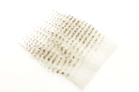 You added <b><u>Grizzly Craft Fur - White </u></b> to basket.