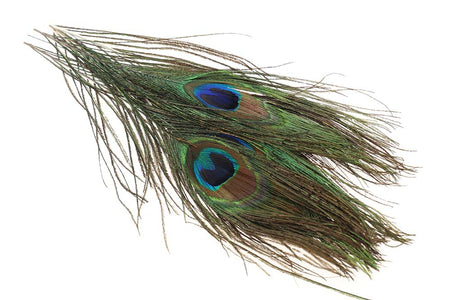 You added <b><u>Peacock eye - Natural</u></b> to basket.