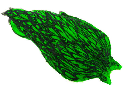 You added <b><u>Whiting American Hen Cape Black Laced - Green Highlander</u></b> to basket.