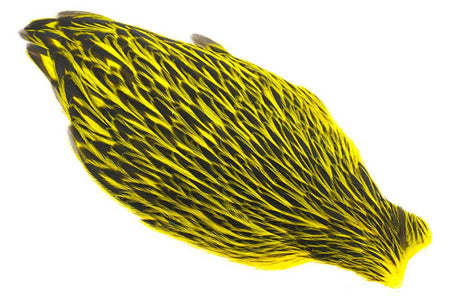 You added <b><u>Whiting American Hen Cape Black Laced - Yellow</u></b> to basket.