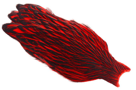 You added <b><u>Whiting American Hen Cape Black Laced - Ed</u></b> to basket.