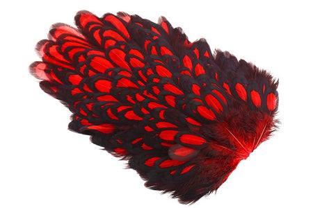You added <b><u>Whiting American Hen Saddle Black Laced - Ed</u></b> to basket.