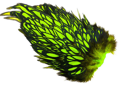 You added <b><u>Whiting American Hen Saddle Black Laced - Fl. Green Chartreuse</u></b> to basket.