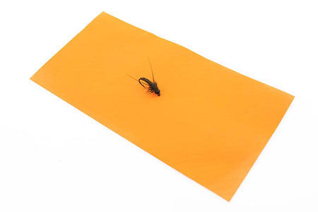 You added <b><u>Rainy's Cross link Sheet Foam - Orange</u></b> to basket.