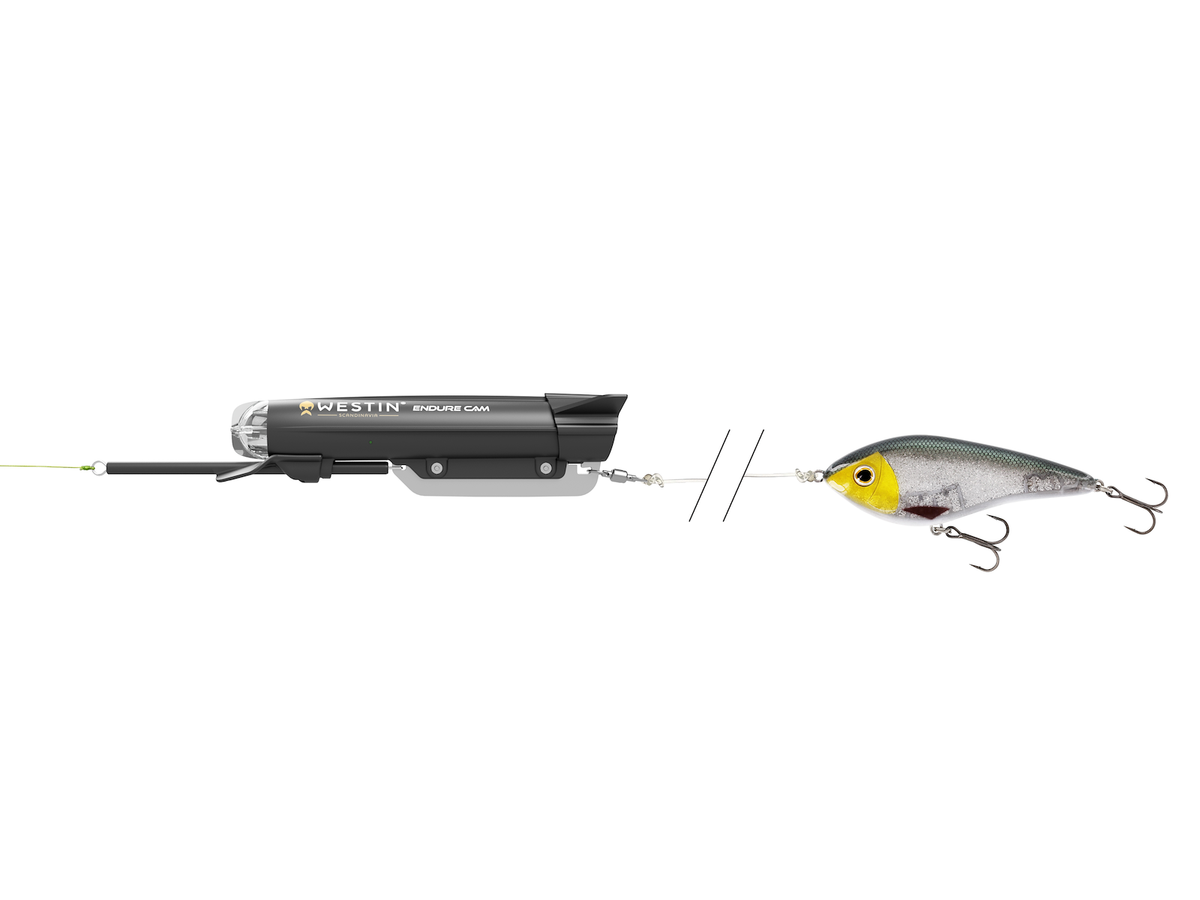 endure-side-2-with-lure.png