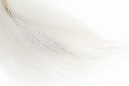 You added <b><u>Bucktail Medium - Fl.White</u></b> to basket.