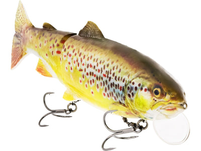 You added <b><u>Tommy the Trout 25Cm 205G Trout Slow Sinking</u></b> to basket.