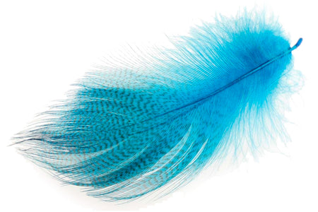 You added <b><u>Mallard Barred Flank - Peacock Blue</u></b> to basket.