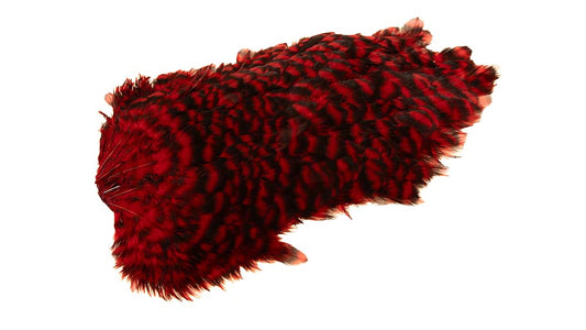 You added <b><u>4 B's Hen Saddle Grizzly dyed Red</u></b> to basket.