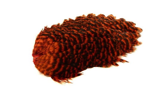 You added <b><u>4 B's Hen Saddle Grizzly dyed Orange</u></b> to basket.