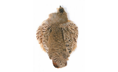 You added <b><u>Partridge Skin</u></b> to basket.