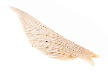 You added <b><u>1/2 (Pro Grade) Whiting Red Label Dryfly - White</u></b> to basket.