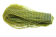 Sili Legs NYMPH - Barred Olive 