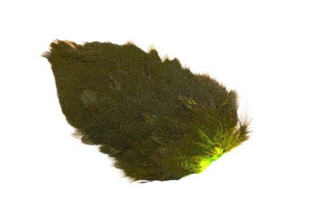 You added <b><u>Whiting Coq de leon Hen Saddle - Olive </u></b> to basket.