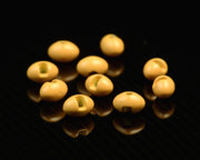 Spawn Slotted Tungsten Football Beads - 5.5 mm - Shrimp Peach