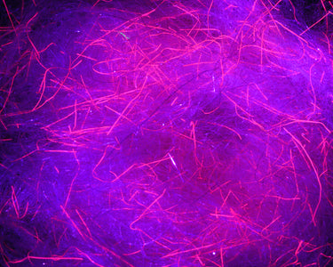 You added <b><u>Spawn's UV Simi Seal Dubbing - UV Pink Steel</u></b> to basket.