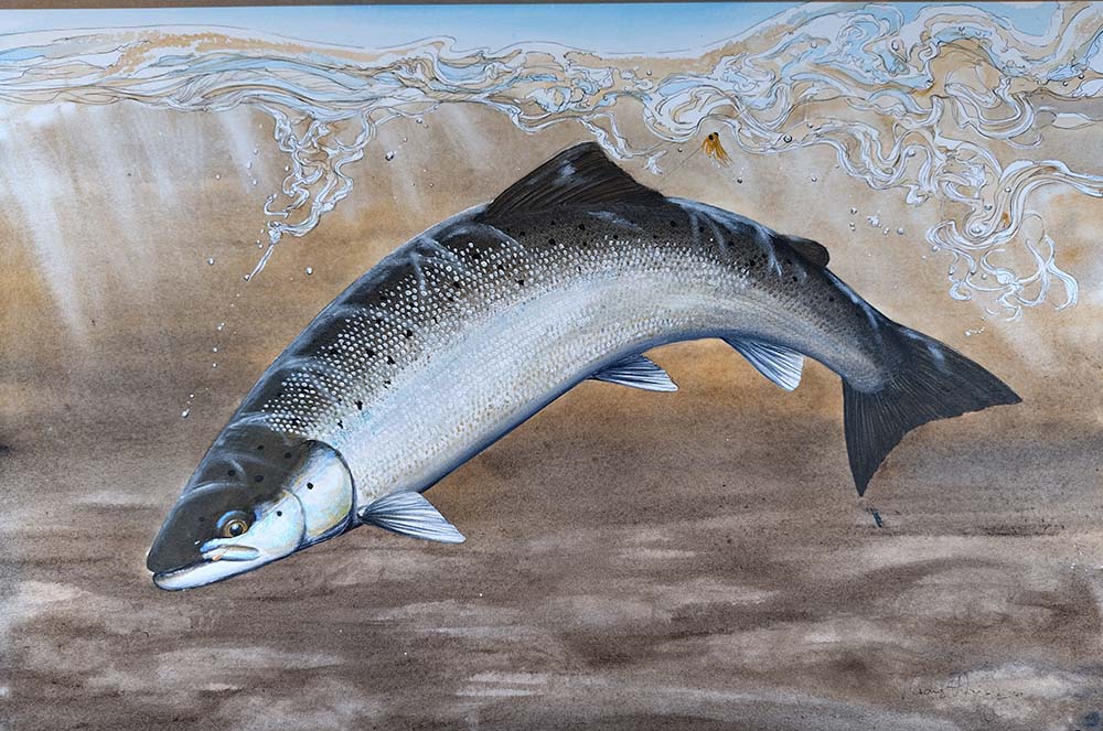 Thomas Weiergang original 61 x 41 - Spring Salmon