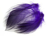 Teal Barred Flank - Purple