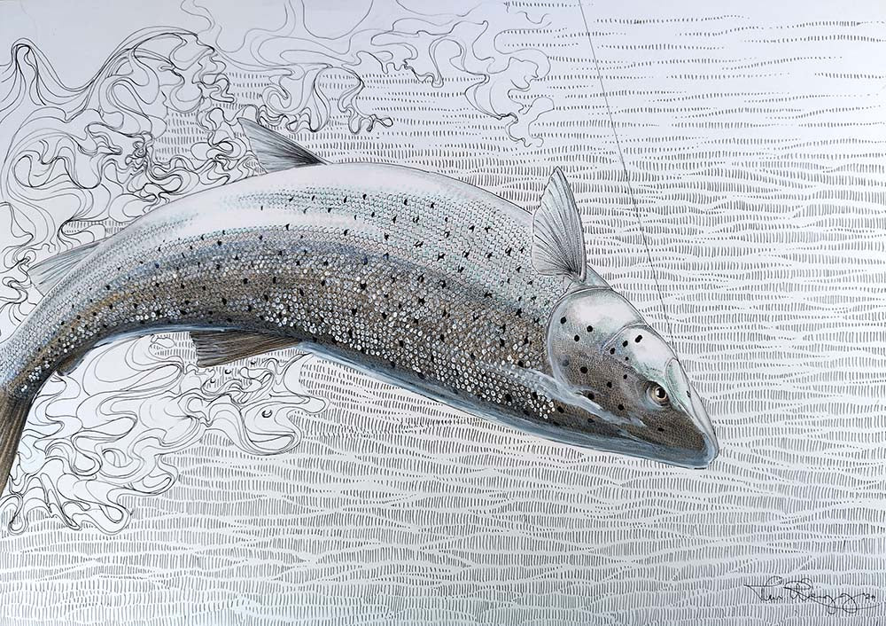 Thomas Weiergang original A3 - Seatrout upside down