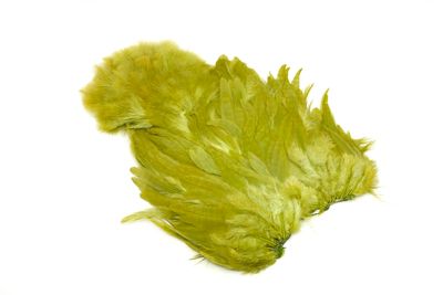 You added <b><u>Whiting Rooster Softhackle W Chickabou SH/C White dyed Olive</u></b> to basket.
