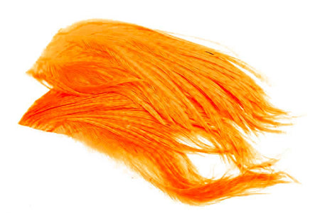 You added <b><u>Hackler rooster - Fl.Orange</u></b> to basket.