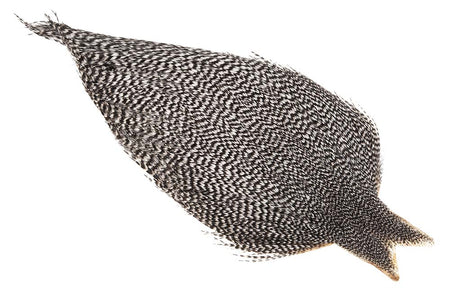 You added <b><u>(Bronze Grade) Whiting Red Label Dryfly - Grizzly</u></b> to basket.