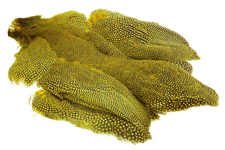 You added <b><u>Whiting Whole guinea fowl - Yellow</u></b> to basket.