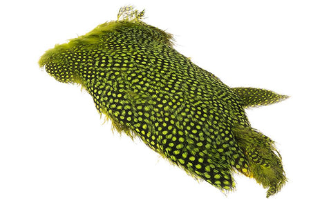 You added <b><u>Whiting Guinea Thigh - Fl.Yellow Chartreuse</u></b> to basket.
