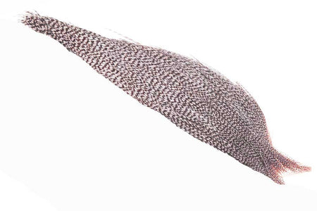 You added <b><u>1/2 (Pro Grade) Whiting Red Label Dryfly - Grizzly Down</u></b> to basket.