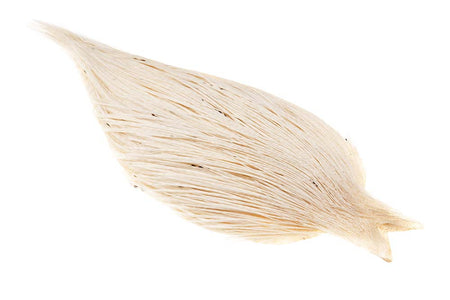 You added <b><u>(Gold Grade) Whiting Red Label Dryfly - White</u></b> to basket.