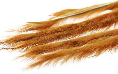 You added <b><u>3mm Rabbit Zonkerstrip - Golden Brown</u></b> to basket.